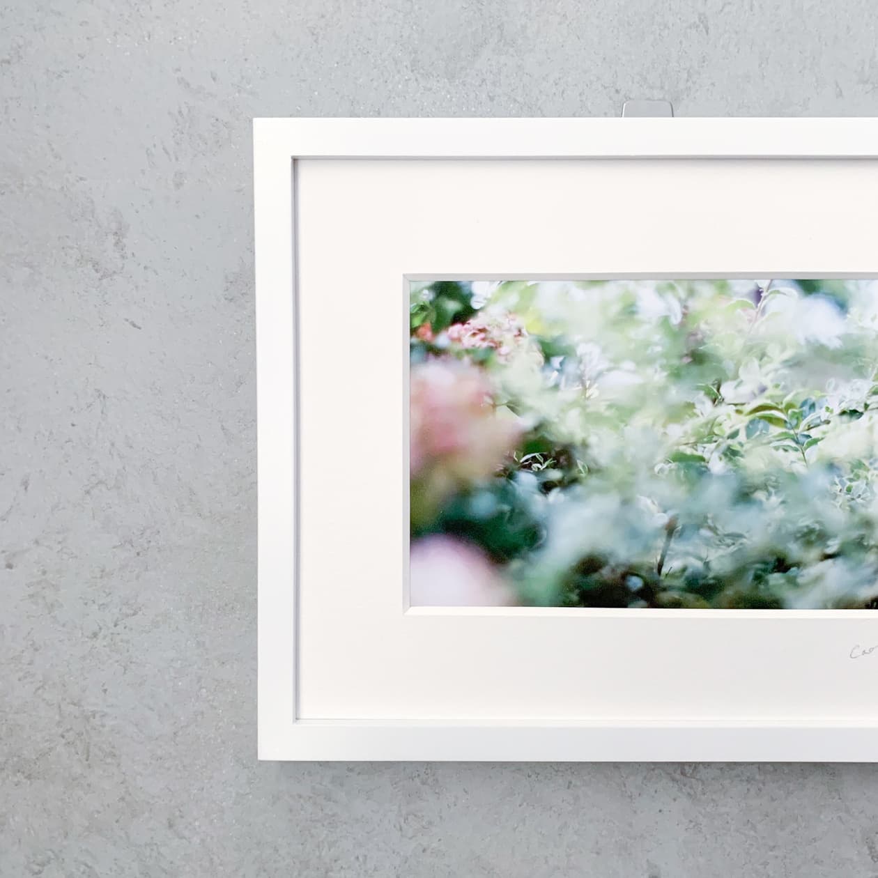 PhotoFrame #01 Gentillesse modeste 「控えめな愛らしさ」