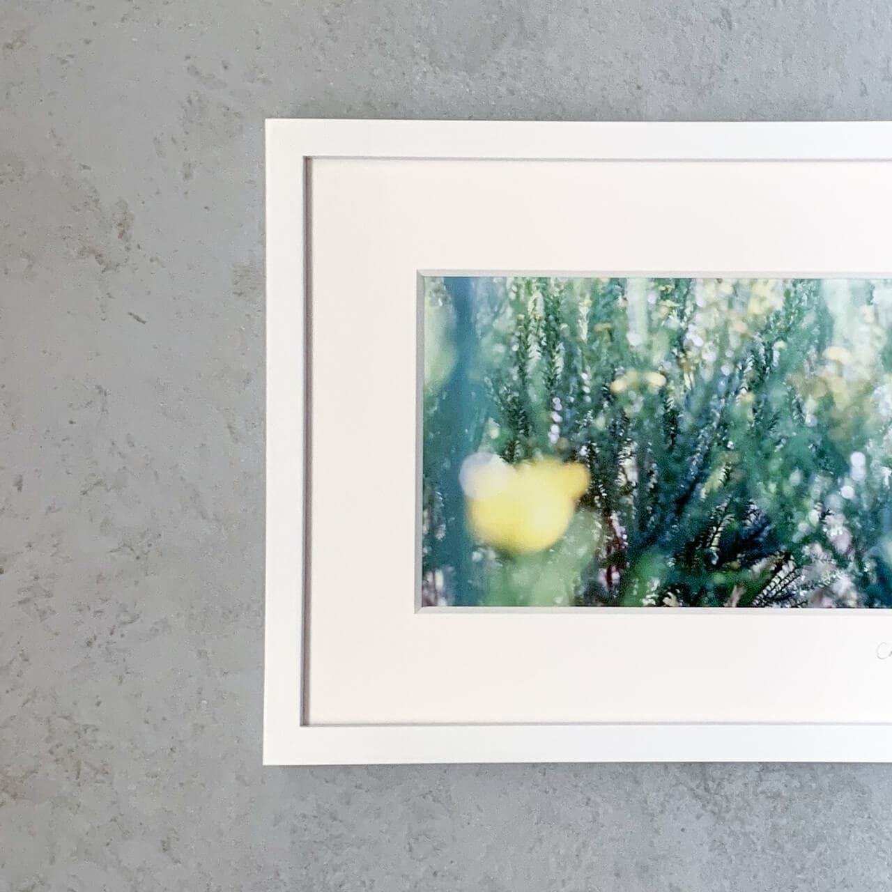 PhotoFrame #05 Soyez juste là. 「そこにいればいいですよ」
